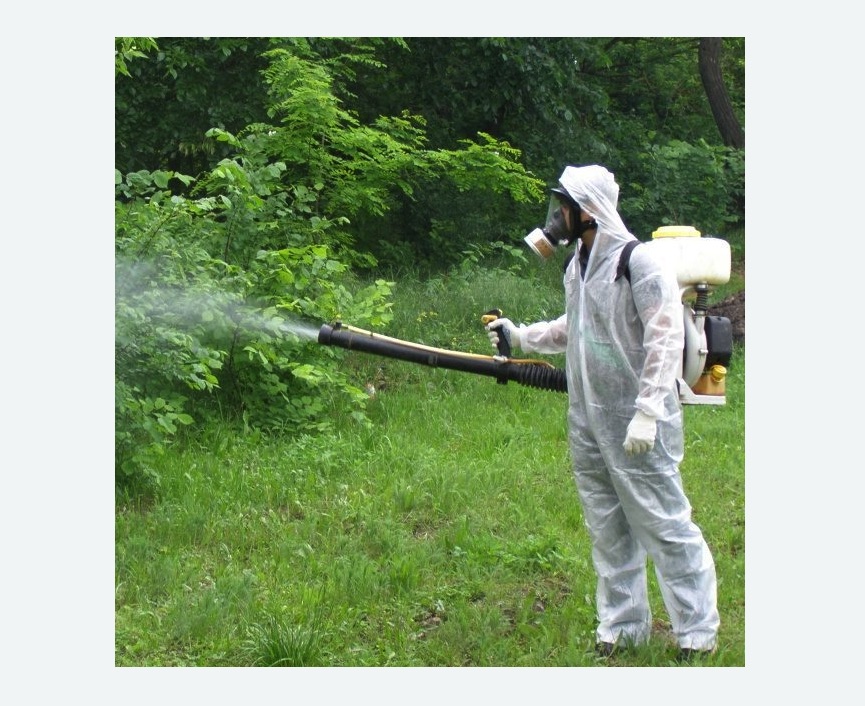 обработка территории от клещей в Медвежьегорске