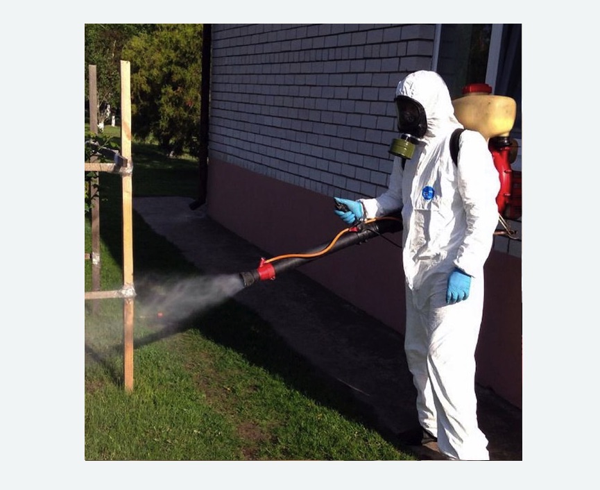 травля клещей на участке в Медвежьегорске