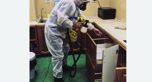 Уничтожение насекомых в квартире. Медвежьегорск