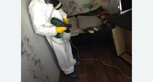 Обработка квартир от насекомых в Медвежьегорске