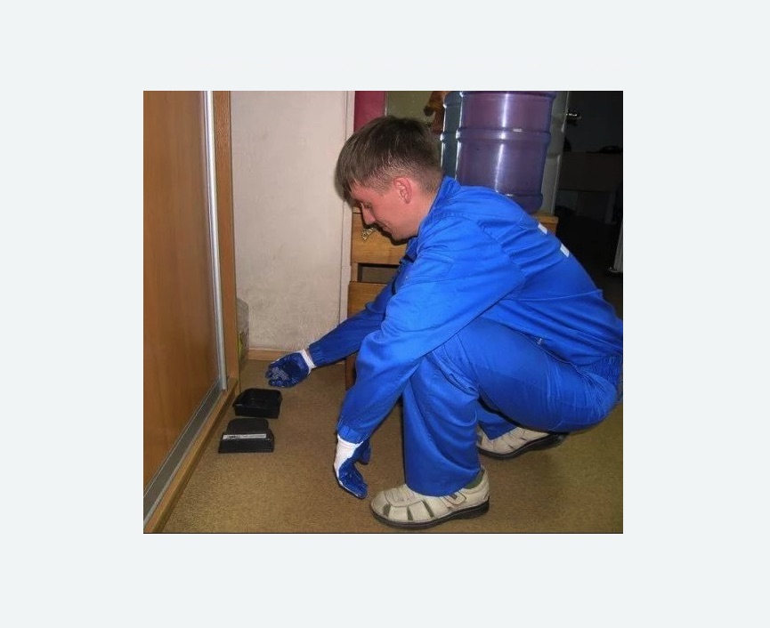 Дератизация крыс Дератизация крыс в Медвежьегорске