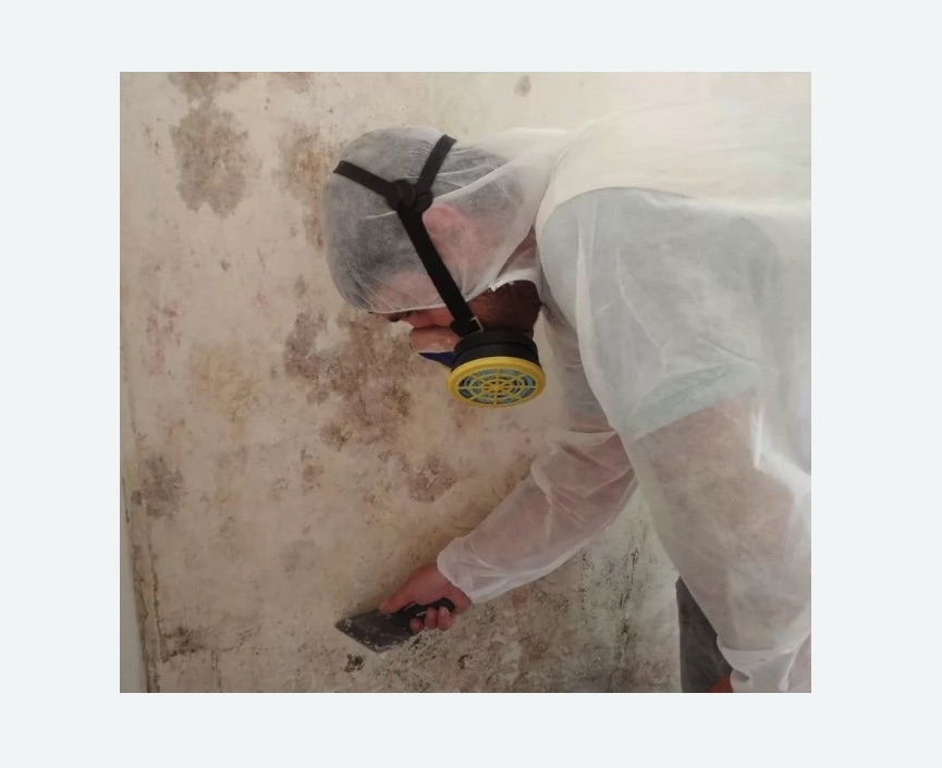 Обработка стен от плесени в Медвежьегорске