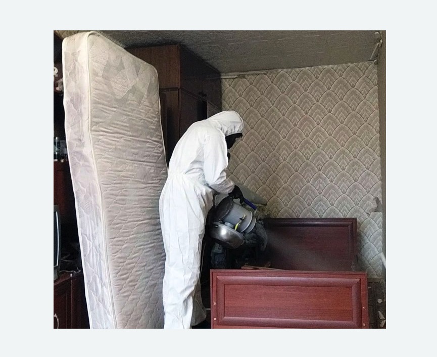 дезинфекция от клопов в Медвежьегорске