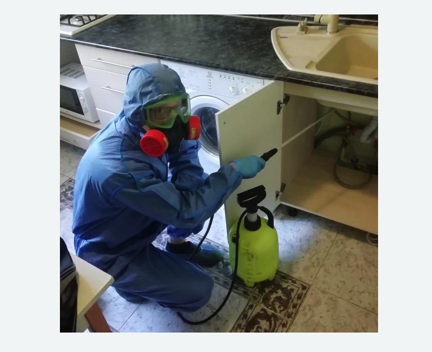 обработка от муравьев в квартире в Медвежьегорске