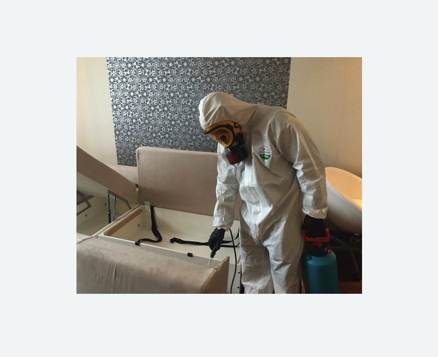 уничтожение клопов в квартире в Медвежьегорске