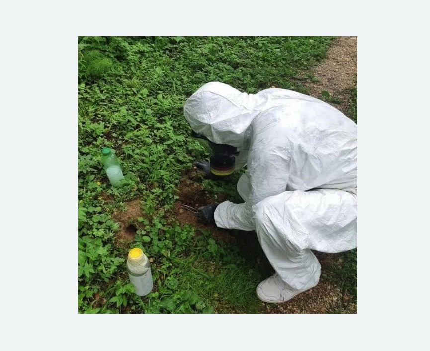 уничтожение кротов на участке в Медвежьегорске