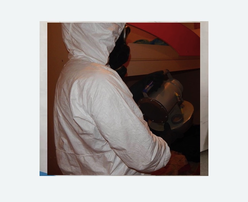 Дезинфекция от муравьев в Медвежьегорске