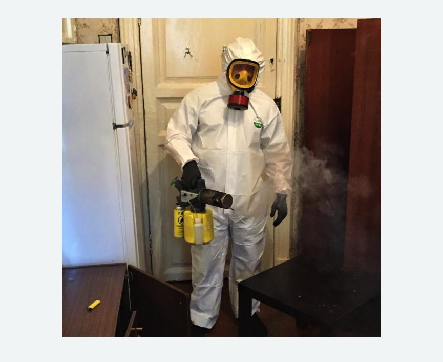 уничтожение муравьев в квартире в Медвежьегорске